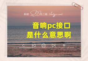 音响pc接口是什么意思啊