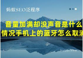 音量加满却没声音是什么情况手机上的蓝牙怎么取消