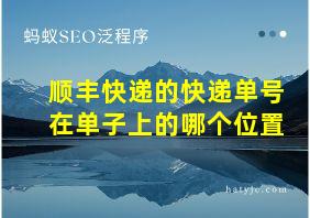 顺丰快递的快递单号在单子上的哪个位置