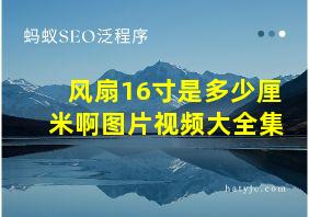 风扇16寸是多少厘米啊图片视频大全集