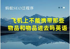 飞机上不能携带那些物品和物品进去吗英语