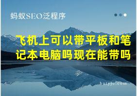 飞机上可以带平板和笔记本电脑吗现在能带吗