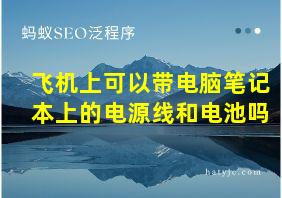 飞机上可以带电脑笔记本上的电源线和电池吗