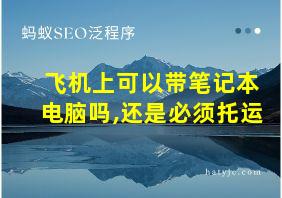 飞机上可以带笔记本电脑吗,还是必须托运