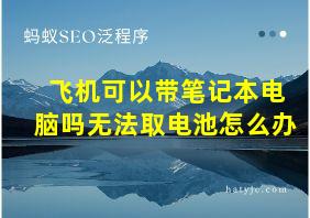 飞机可以带笔记本电脑吗无法取电池怎么办