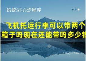 飞机托运行李可以带两个箱子吗现在还能带吗多少钱