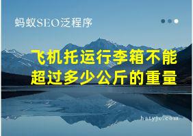 飞机托运行李箱不能超过多少公斤的重量