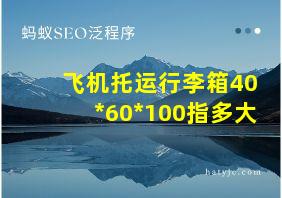 飞机托运行李箱40*60*100指多大