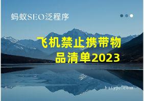 飞机禁止携带物品清单2023