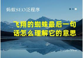 飞翔的蜘蛛最后一句话怎么理解它的意思