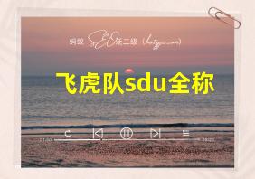 飞虎队sdu全称