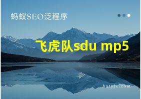 飞虎队sdu mp5