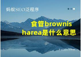 食管brownisharea是什么意思