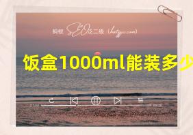 饭盒1000ml能装多少