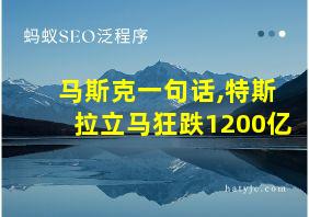 马斯克一句话,特斯拉立马狂跌1200亿