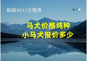 马犬价格纯种小马犬报价多少