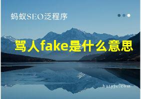 骂人fake是什么意思