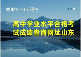 高中学业水平合格考试成绩查询网址山东