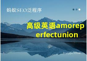 高级英语amoreperfectunion