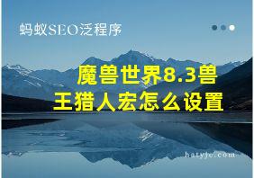 魔兽世界8.3兽王猎人宏怎么设置