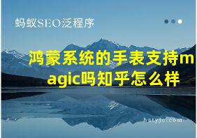 鸿蒙系统的手表支持magic吗知乎怎么样