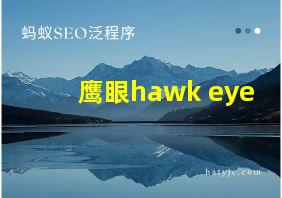 鹰眼hawk eye