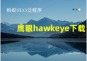 鹰眼hawkeye下载