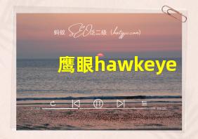 鹰眼hawkeye