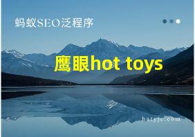 鹰眼hot toys