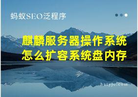 麒麟服务器操作系统怎么扩容系统盘内存