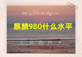 麒麟980什么水平