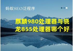 麒麟980处理器与骁龙855处理器哪个好