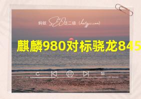 麒麟980对标骁龙845