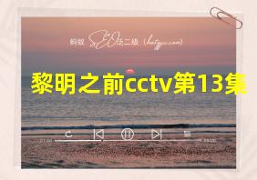 黎明之前cctv第13集