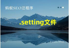 .setting文件