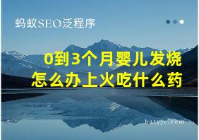 0到3个月婴儿发烧怎么办上火吃什么药