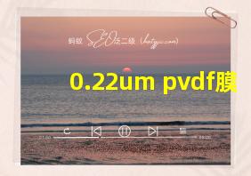 0.22um pvdf膜