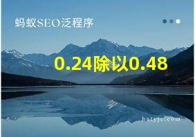 0.24除以0.48