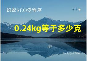 0.24kg等于多少克