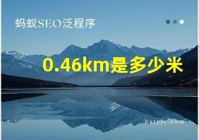 0.46km是多少米