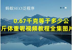 0.67千克等于多少公斤体重呢视频教程全集图片