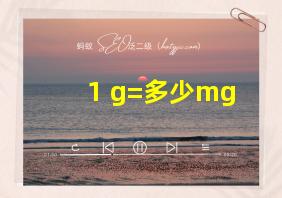 1 g=多少mg