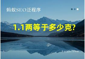 1.1两等于多少克?