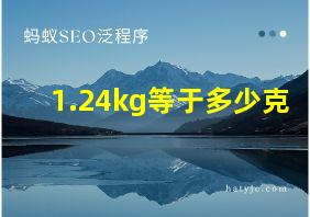 1.24kg等于多少克