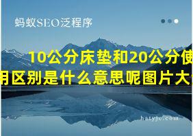 10公分床垫和20公分使用区别是什么意思呢图片大全