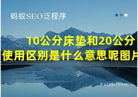 10公分床垫和20公分使用区别是什么意思呢图片