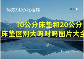 10公分床垫和20公分床垫区别大吗对吗图片大全