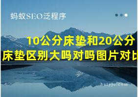 10公分床垫和20公分床垫区别大吗对吗图片对比