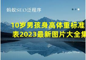 10岁男孩身高体重标准表2023最新图片大全集