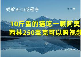 10斤重的猫吃一颗阿莫西林250毫克可以吗视频